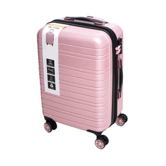 passport-20-inci-blythe-koper-pc-&-abs-tsa-lock---dusty-pink