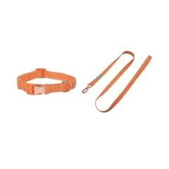 Pet Kingdom Coolpet Set Tali Anjing Large - Orange