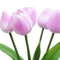 informa-36-cm-bunga-artifisial-tulip---ungu