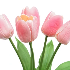 informa-36-cm-bunga-artifisial-tulip---pink