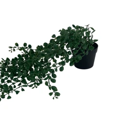 arthome-80-cm-tanaman-artifisial-garland-eucalyptus-a