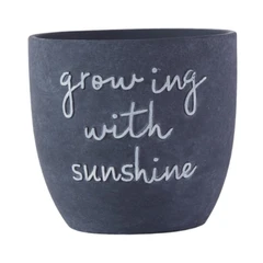 arthome-16.5-cm-pot-keramik-sunshine---abu-abu