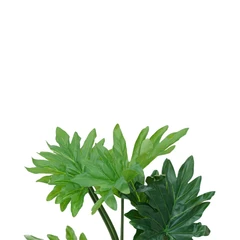 arthome-80-cm-tanaman-artifisial-philodendron-dengan-pot