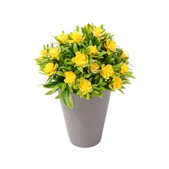 arthome-19-cm-tanaman-artifisial-grass-gardenia-dengan-pot---kuning