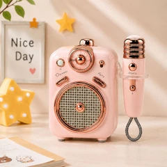 Divoom Fairy-2 Speaker Karaoke Bluetooth Dengan Microphone - Pink