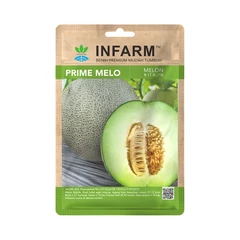 main image Infarm Benih Melon Prime