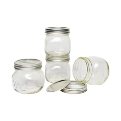 jarden-home-473-ml-set-4-pcs-ball-mason-stoples-platinum-half-pint