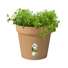 elho-19-cm-green-basics-pot-tanaman---cokelat