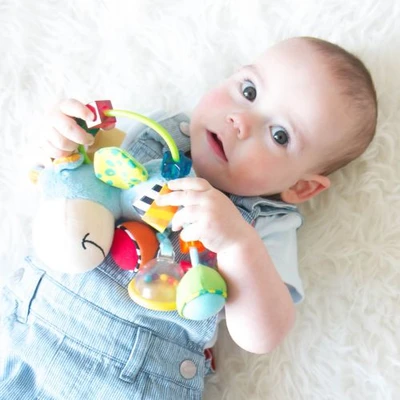 Gambar Playgro Clip Clop Activity Rattle 102813