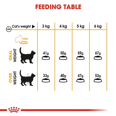 Gambar Royal Canin 400 Gr Makanan Kucing Kering Adult Hair & Skin Care