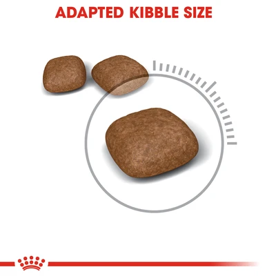 Gambar Royal Canin 400 Gr Makanan Kucing Kering Adult Urinary Care