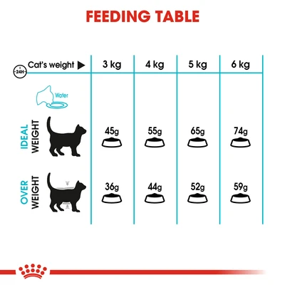 Gambar Royal Canin 400 Gr Makanan Kucing Kering Adult Urinary Care
