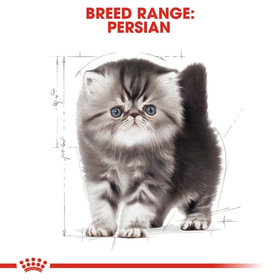 Gambar Royal Canin 400 Gr Makanan Kucing Kering Kitten Persian