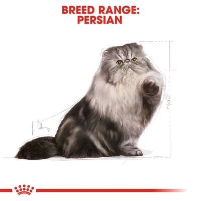 Gambar Royal Canin 2 Kg Makanan Kucing Kering Adult Persian