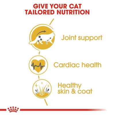 Gambar Royal Canin 2 Kg Makanan Kucing Kering Adult Maine Coon