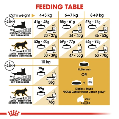Gambar Royal Canin 2 Kg Makanan Kucing Kering Adult Maine Coon