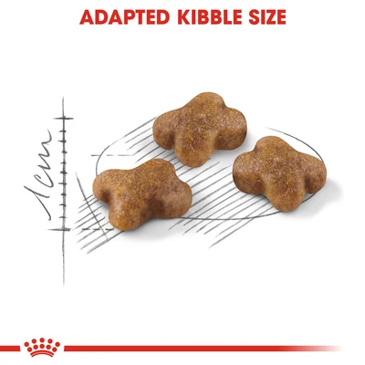Gambar Royal Canin 2 Kg Makanan Kucing Kering Kitten