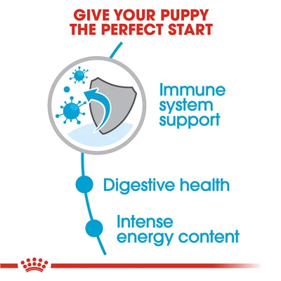 Gambar Royal Canin Makanan Anjing Kering Puppy Mini 2 kg