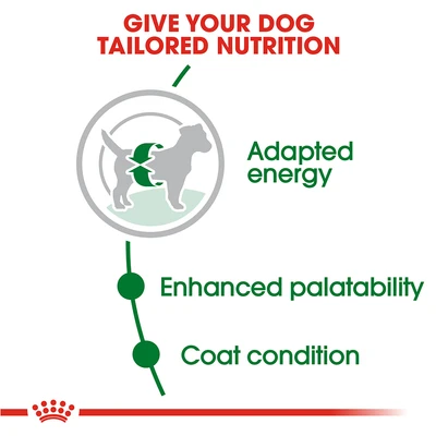 Gambar Royal Canin Makanan Anjing Kering Adult Mini 4 kg