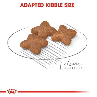 Gambar Royal Canin Makanan Anjing Kering Adult Mini 4 kg