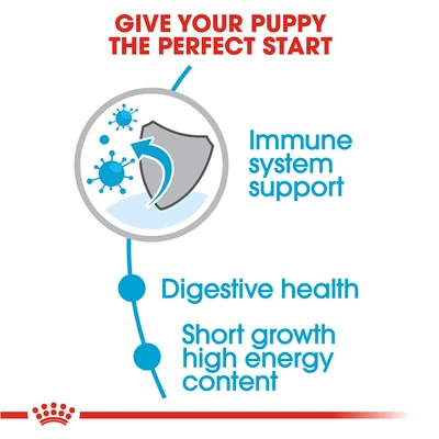 Gambar Royal Canin Makanan Anjing Kering Puppy Medium 4 kg
