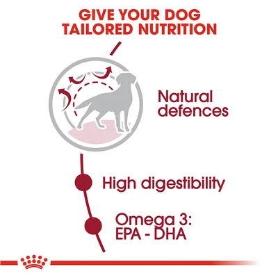 Gambar Royal Canin Makanan Anjing Kering Adult Medium 4 kg