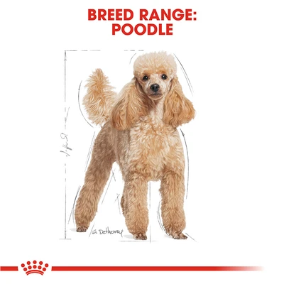 Gambar Royal Canin Makanan Anjing Kering Adult Poodle 1.5 kg