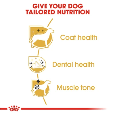 Gambar Royal Canin Makanan Anjing Kering Adult Poodle 1.5 kg