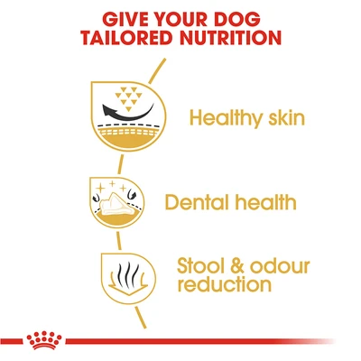 Gambar Royal Canin Makanan Anjing Kering Adult Shih Tzu 1.5 kg
