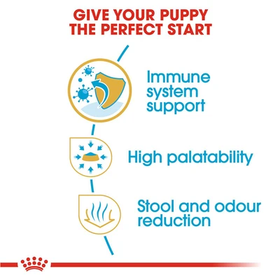 Gambar Royal Canin Makanan Anjing Kering Puppy Chihuahua 1.5 kg
