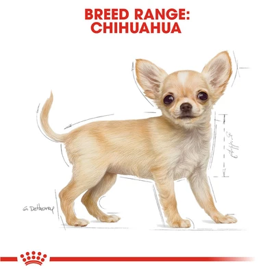 Gambar Royal Canin Makanan Anjing Kering Puppy Chihuahua 1.5 kg
