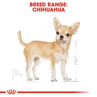 Gambar Royal Canin Makanan Anjing Kering Adult Chihuahua 1.5 kg