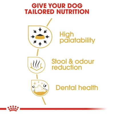 Gambar Royal Canin Makanan Anjing Kering Adult Chihuahua 1.5 kg