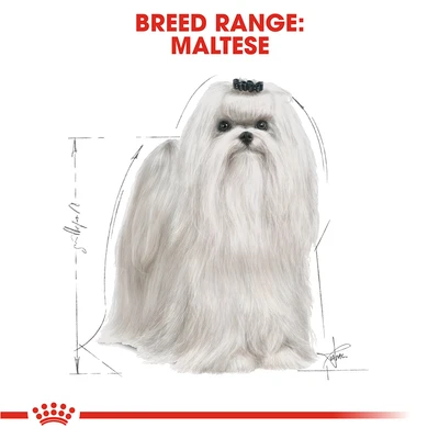 Gambar Royal Canin Makanan Anjing Kering Adult Maltese 1.5 kg