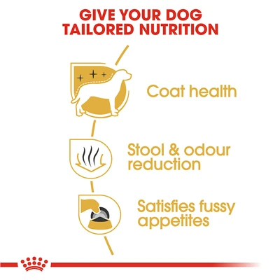 Gambar Royal Canin Makanan Anjing Kering Adult Maltese 1.5 kg