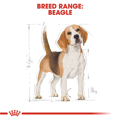 Gambar Royal Canin Makanan Anjing Kering Adult Beagle 3 kg