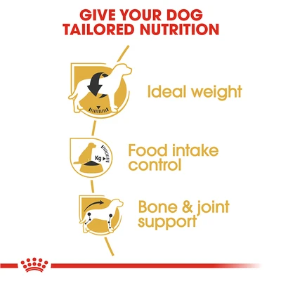 Gambar Royal Canin Makanan Anjing Kering Adult Beagle 3 kg