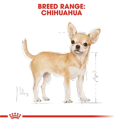 Gambar Royal Canin Makanan Anjing Basah Adult Chihuahua 85 gr