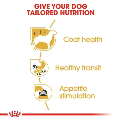 Gambar Royal Canin Makanan Anjing Basah Adult Chihuahua 85 gr