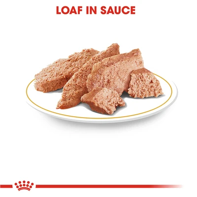 Gambar Royal Canin Makanan Anjing Basah Adult Poodle 85 gr