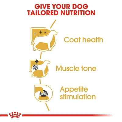 Gambar Royal Canin Makanan Anjing Basah Adult Poodle 85 gr