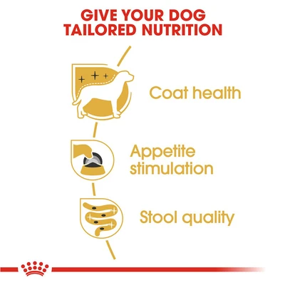 Gambar Royal Canin Makanan Anjing Basah Adult Yorkshire Terrier 85 gr