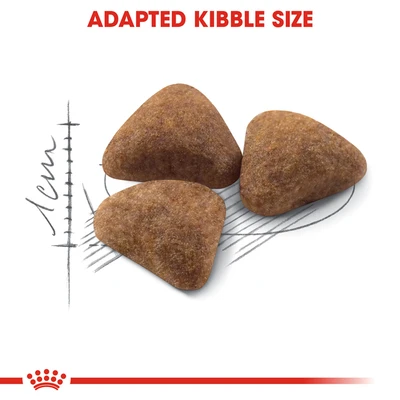 Gambar Royal Canin 2 Kg Makanan Kucing Kering Adult Home Life Indoor27