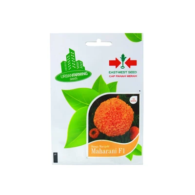 Gambar Panah Merah Benih Bunga Marigold Maharani