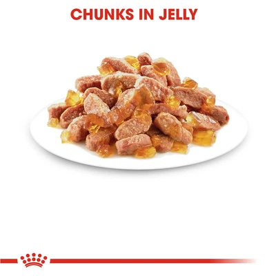 Gambar Royal Canin 85 Gr Makanan Kucing Basah Kitten Instinctive In Jelly