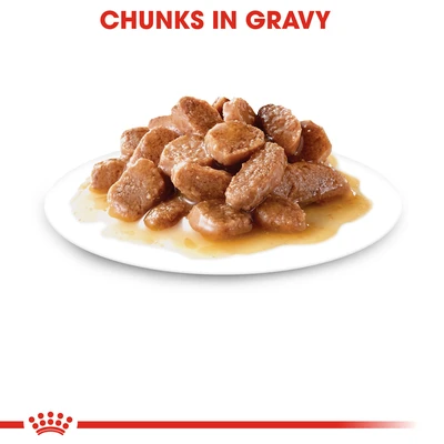 Gambar Royal Canin 85 Gr Makanan Kucing Basah Adult Hair & Skin Care Jelly - Mix