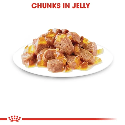 Gambar Royal Canin 85 Gr Makanan Kucing Basah Adult Instinctive Jelly