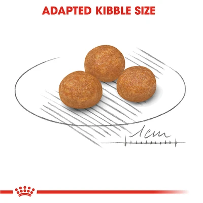 Gambar Royal Canin Makanan Anjing Kering Adult X-Small 500 gr