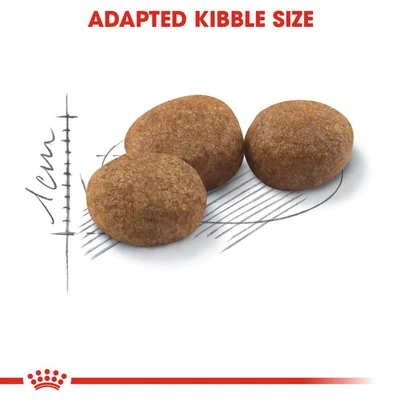 Gambar Royal Canin 400 Gr Makanan Kucing Kering Adult Reguler Sterilised37