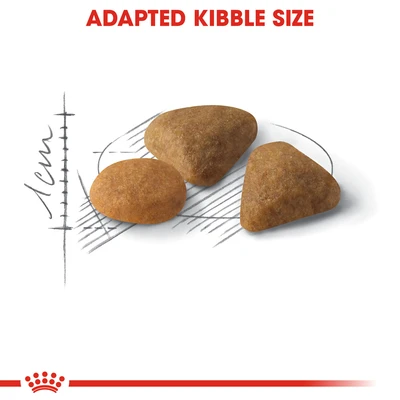 Gambar Royal Canin 400 Gr Makanan Kucing Kering Adult Savour Exigent 35/30